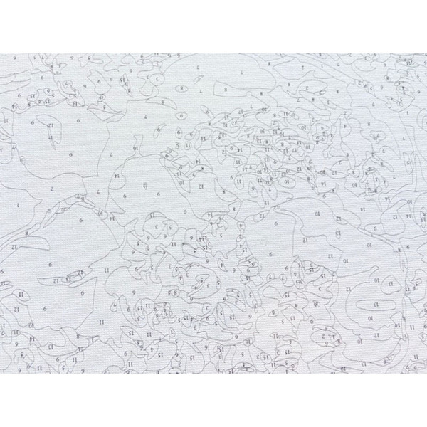 Картина по номерам 40x30 Фиалка