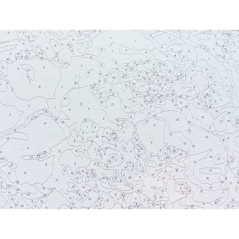 Картина по номерам 40x30 Фиалка