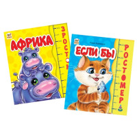 Книга B6 картонка Ростомер.
