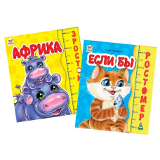 Книга B6 картонка Ростомер.